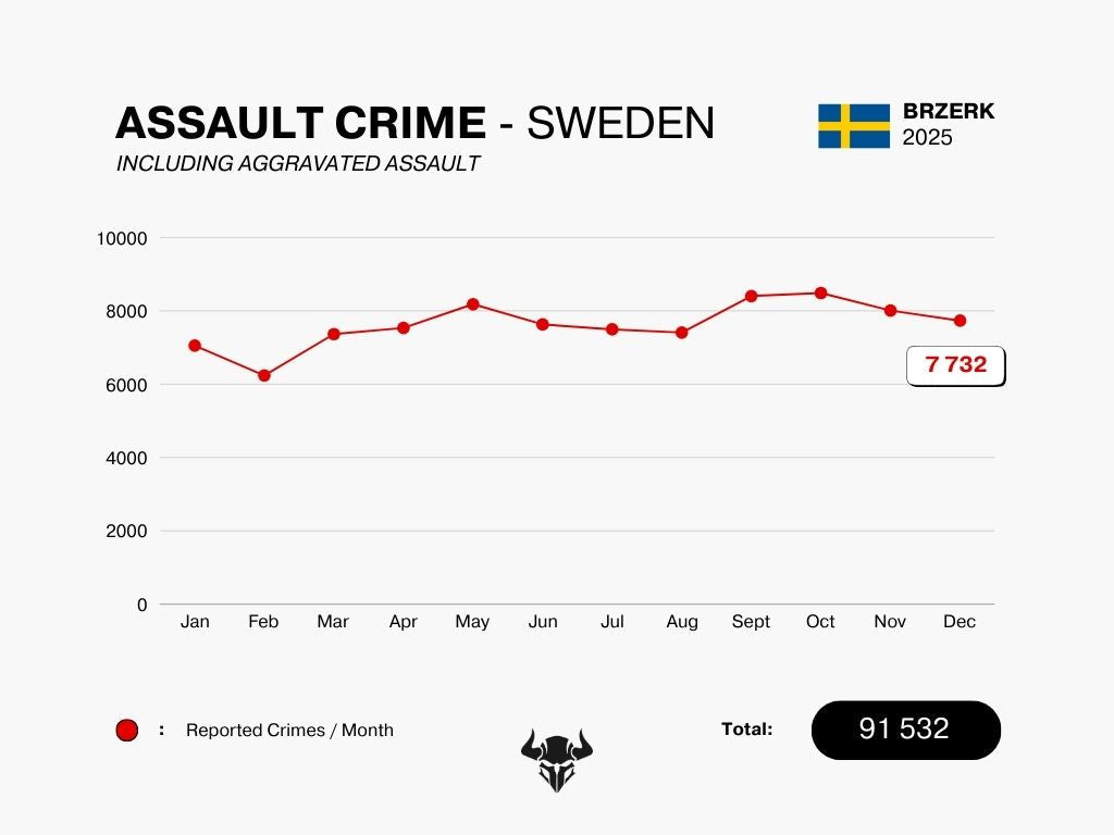 ASSAULT CRIME - DECEMBER 2025