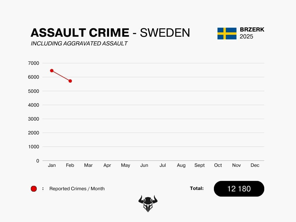ASSAULT CRIME - FEB 2025