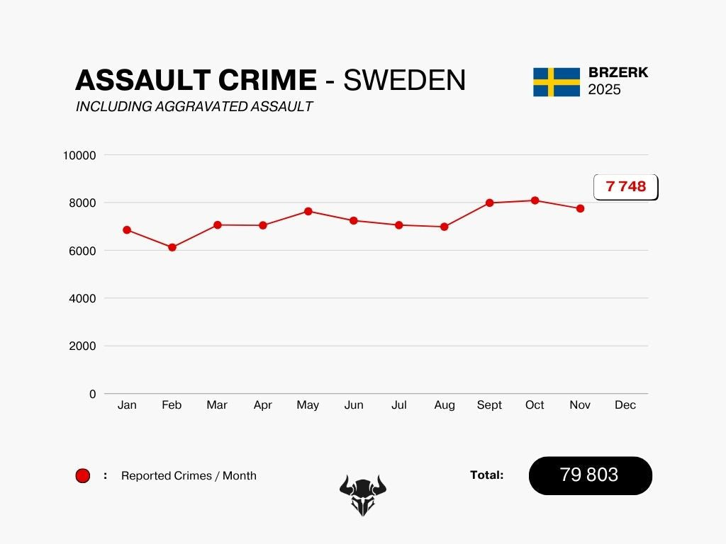 ASSAULT CRIME - NOVEMBER 2025