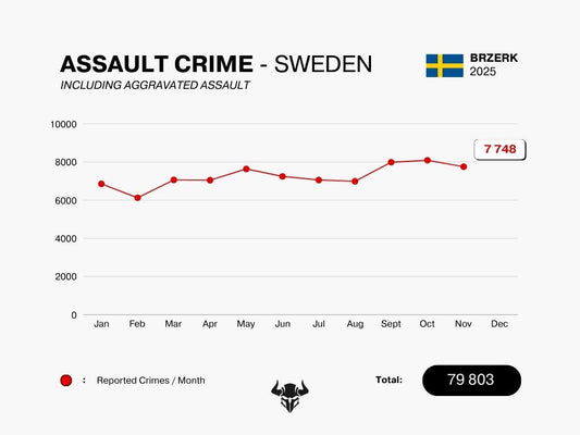 ASSAULT CRIME - NOVEMBER 2025